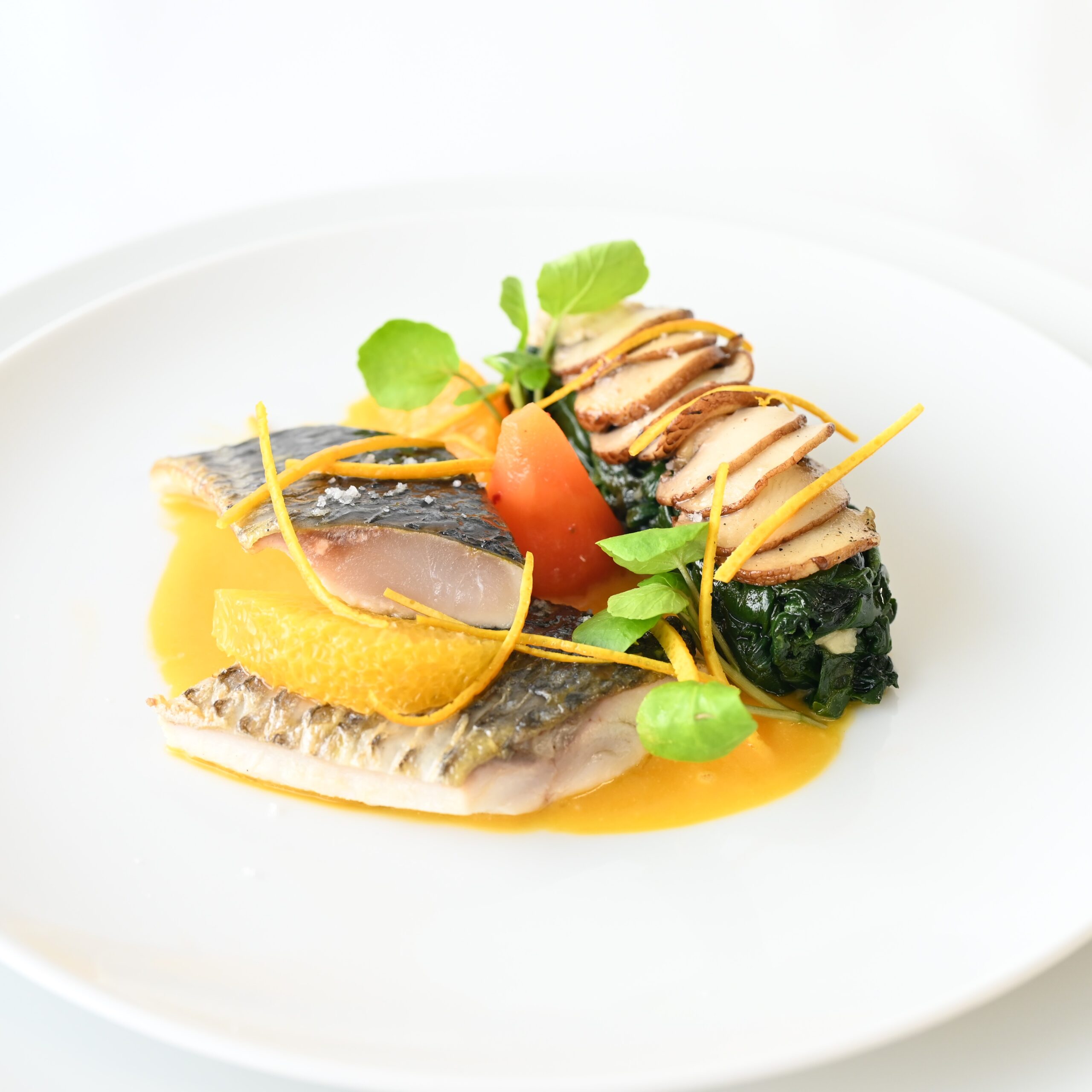 Plat gastronomique mulet réduction carotte cumin