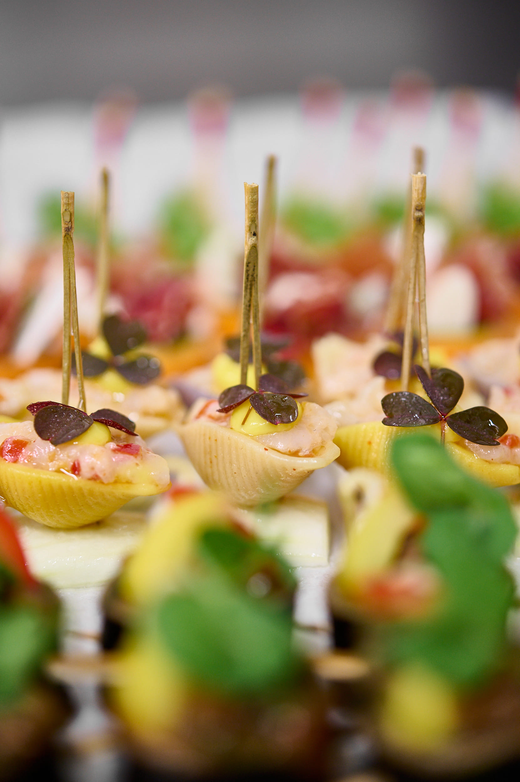 Pièce cocktail conchiglia